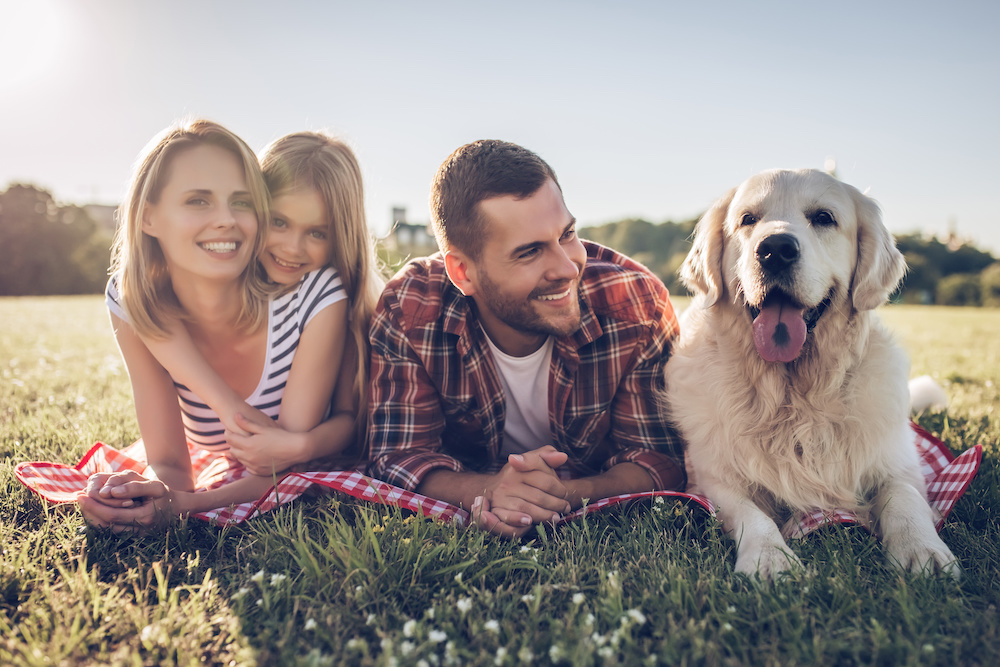 Family with dog in a park having a picnic.